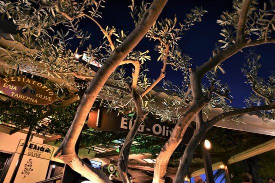Elia - Olive Restaurant