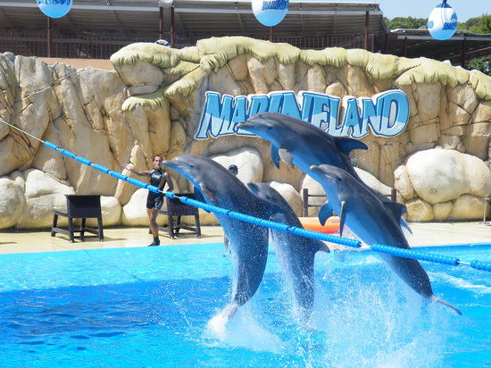 Parc aquatique Marineland Mallorca