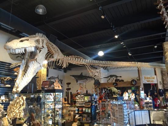 Magasin et musee Dinosaur Store