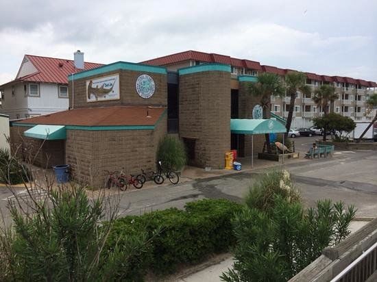 Centre des sciences maritimes de Tybee Island