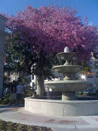 le Miracle Mile