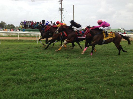 Garrison Savannah Racetrack