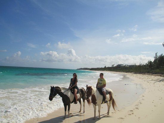 Ferme d'Ocean View