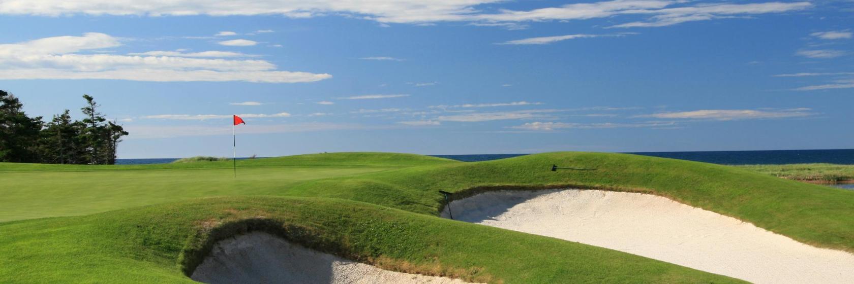 Golf Palmares