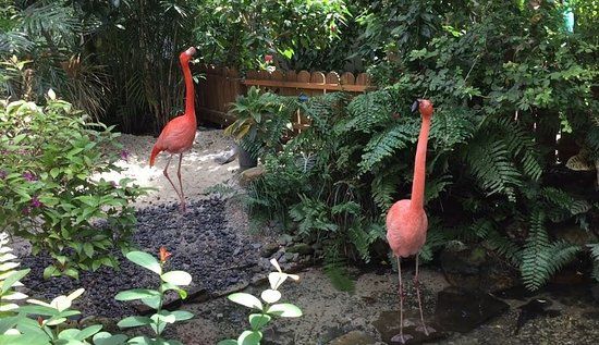 Parc naturel et réserve de papillons Key West