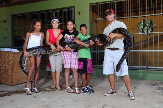 Philip's Animal Garden