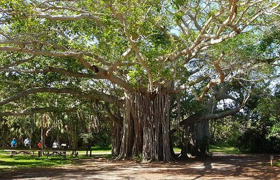 parc d'État de Hugh Taylor Birch