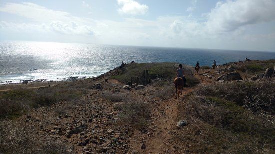 Activité ludique Rancho Notorious