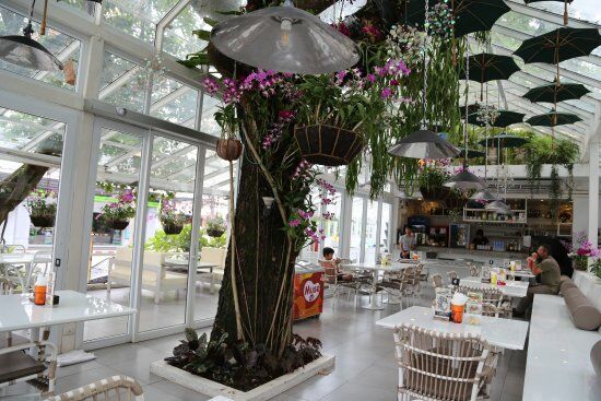 Glass House @ Sino Restaurant Phuket